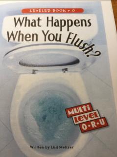20200602 what happens when you flush?