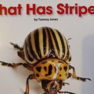 What has stripes？