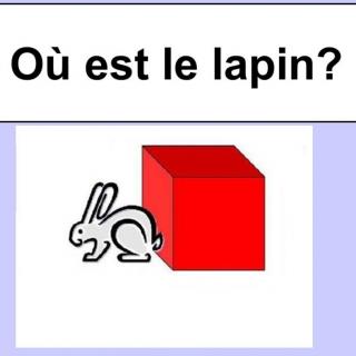 Oùest le lapin?方位词（领读版）