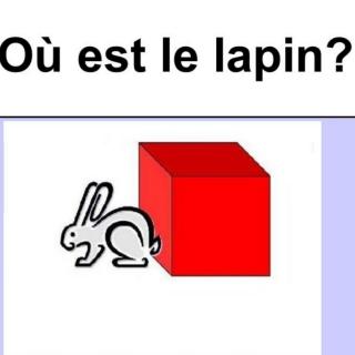 Oùest le lapin?（讲解版）