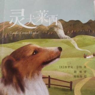 《灵犬莱西》第二十一集（下）