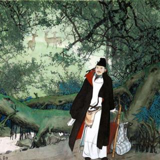 《访戴天山道士不遇》李白