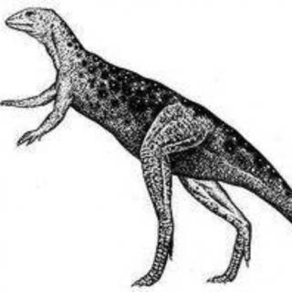 探秘侏罗纪-4.4快跑能手莱索托龙
