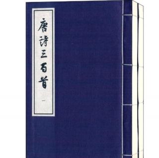 唐诗三百首——春夜喜雨、望岳