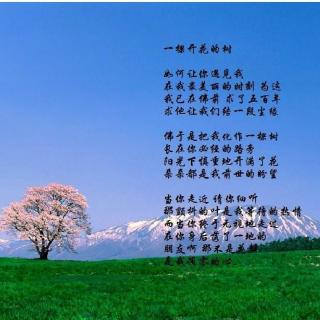 一棵开花的树  作者/席慕容