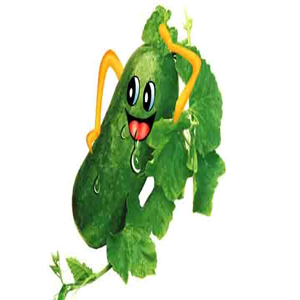 种冬瓜 - 倾倒的大象