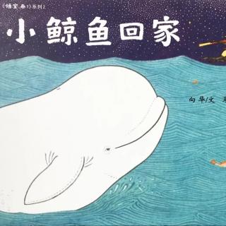 绘本故事｜小鲸鱼回家
