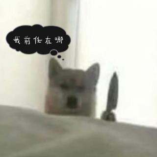 【窗边的小逗逗】前任?不存在的