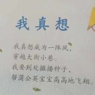 县幼儿园大八班郁镐泽《我真想》