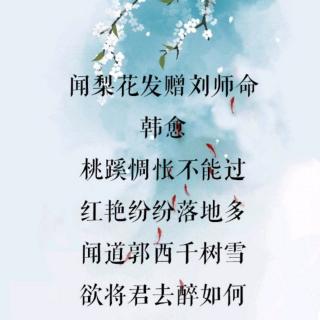 诗词打卡第64天闻梨花发赠刘师命