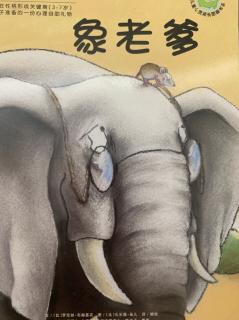 象老爹🐘