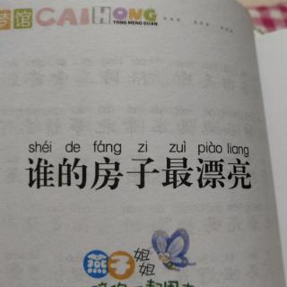 谁的房子最漂亮