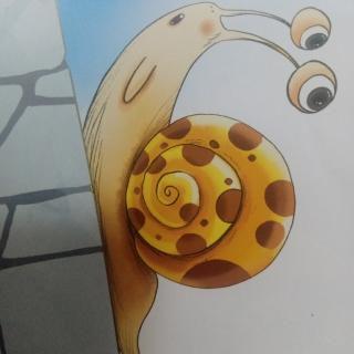 花蜗牛