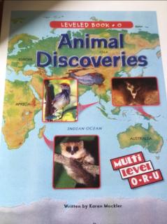 20200604 animal discoveries