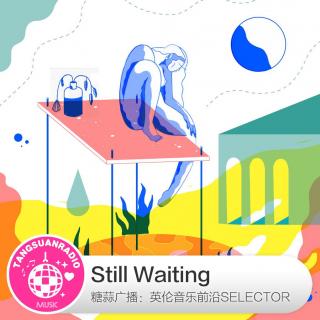 Still Waiting·糖蒜爱音乐之The Selector