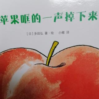 苹果哐的一声掉下来