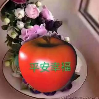 《战友欢乐行》作者：杨保军 李古岭  诵读：玫瑰伊人