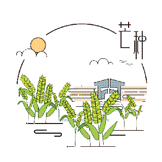 芒种vol.1芒种到，收获丰