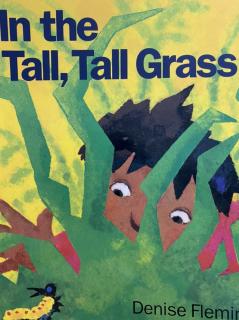 Ni 【Vol 40】In the Tall Tall Grass （SL 1C）