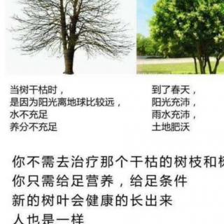 疾病不是治好的～头发、皮肤、胃