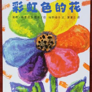 《彩虹色🌈的花》