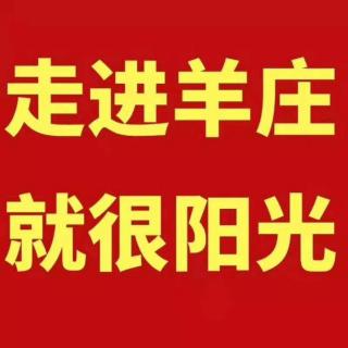 陈建宇老师【人人都能学会的社群变现方法】