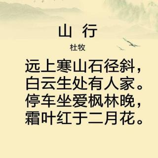 《山行》唐 杜牧 |耳边阳光