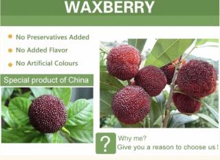 Waxberry😋杨梅