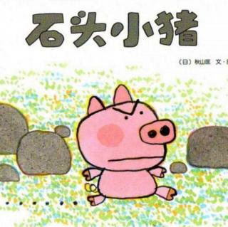 绘本故事《石头小猪》