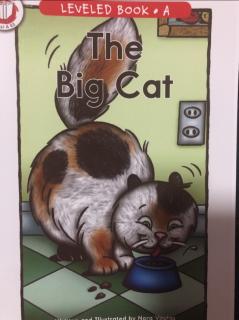 RAZA打卡43 The Big Cat