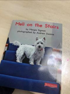 meli on the stairs