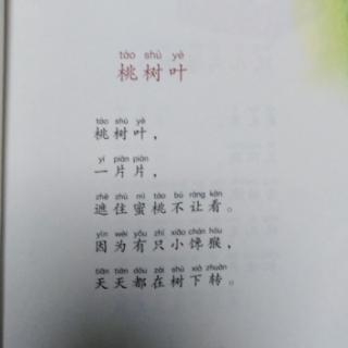 《桃树叶》