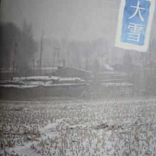 黑鹤长篇散文集《生命的季节》大雪篇 唐梨珊