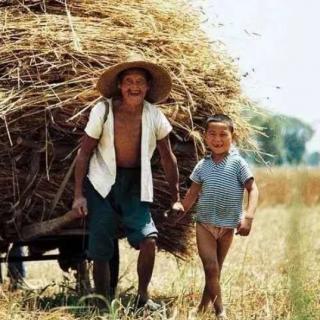 刘娜《致麦收：穷人家孩子要活成一颗麦》