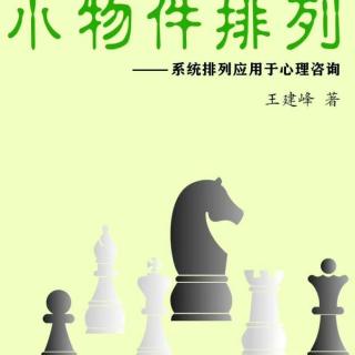 【31】国际象棋小物件排列问答（三）