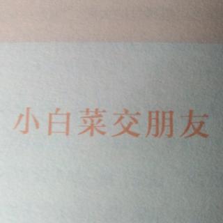 小白菜交朋友