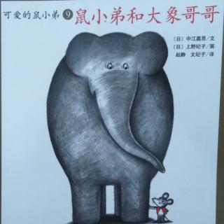 《可爱的鼠小弟》之【鼠小弟和大象哥哥】