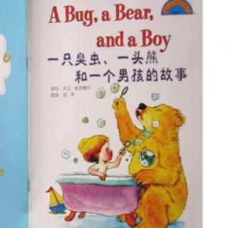《一只臭虫，一头熊和一个男孩的故事》