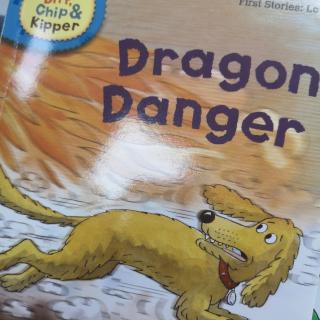 Dragon danger