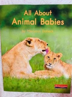 G1 88 All About Animal Babies