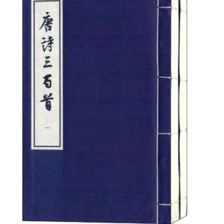 唐诗——山房春事、戏问花门酒家翁