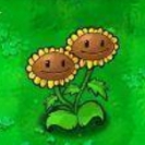 植物大战僵尸之植物诞生记41双胞向日葵的诞生