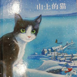 山上的猫