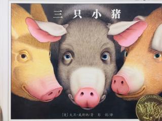 绘本：三只小猪