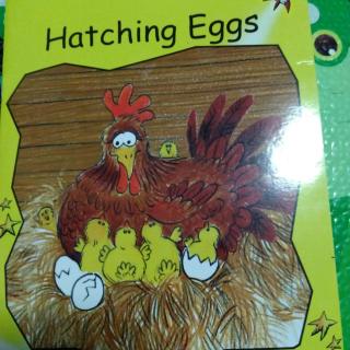 Hatching Eggs