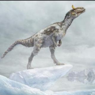 探秘侏罗纪-4.9南极冰脊龙