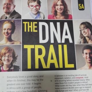 Nino-The DNA Trail