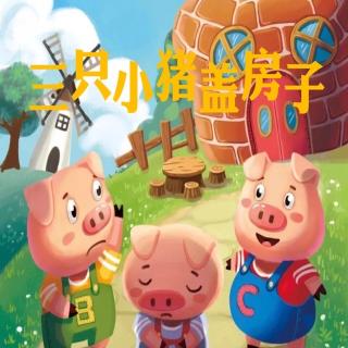 第三实验幼儿园故事推荐(第37期）：《三只小猪盖房子》