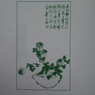 瓶花谱 瓶史（前言）续1