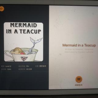 Mermaid In A Teacup